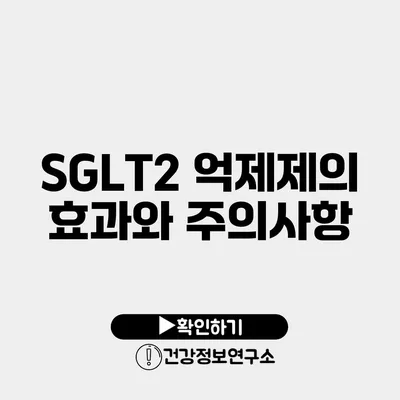 SGLT2 억제제의 효과와 주의사항