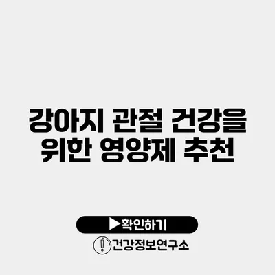강아지 관절 건강을 위한 영양제 추천