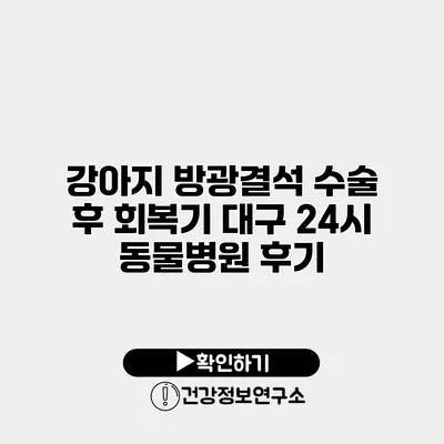 강아지 방광결석 수술 후 회복기 대구 24시 동물병원 후기