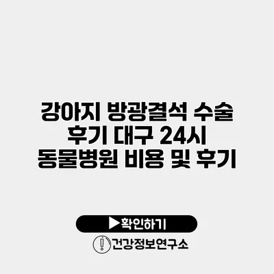 강아지 방광결석 수술 후기 대구 24시 동물병원 비용 및 후기