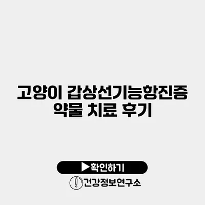 고양이 갑상선기능항진증 약물 치료 후기