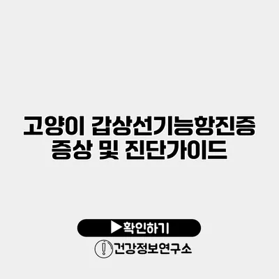 고양이 갑상선기능항진증 증상 및 진단가이드