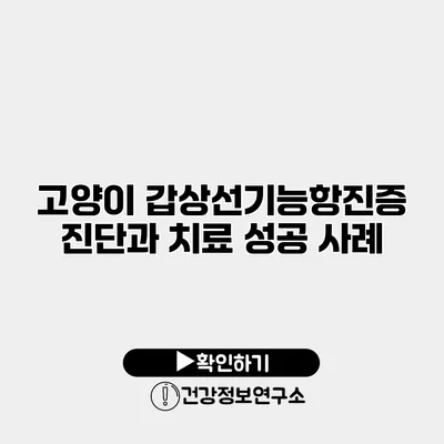 고양이 갑상선기능항진증 진단과 치료 성공 사례