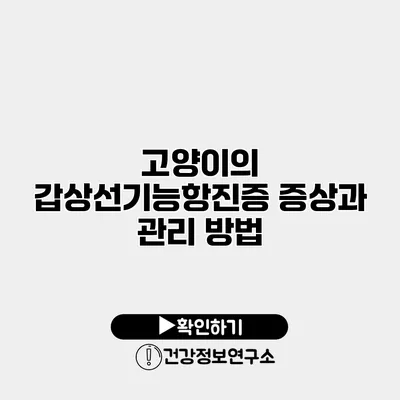 고양이의 갑상선기능항진증 증상과 관리 방법