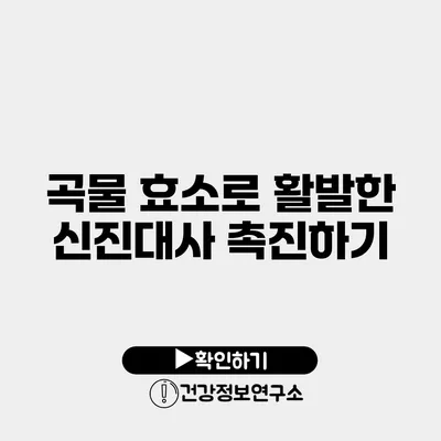 곡물 효소로 활발한 신진대사 촉진하기