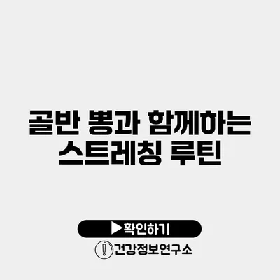 골반 뽕과 함께하는 스트레칭 루틴