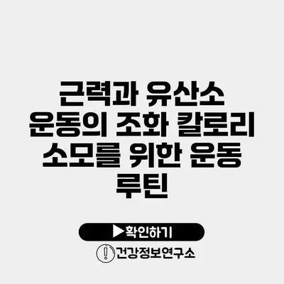 근력과 유산소 운동의 조화 칼로리 소모를 위한 운동 루틴