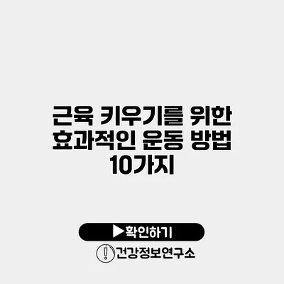 근육 키우기를 위한 효과적인 운동 방법 10가지