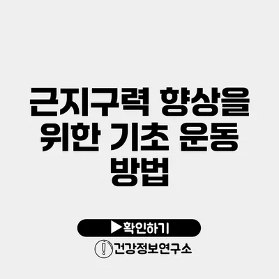 근지구력 향상을 위한 기초 운동 방법