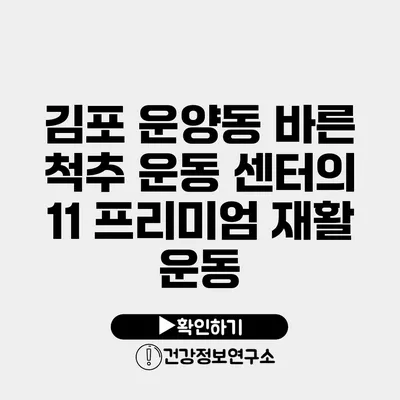 김포 운양동 바른 척추 운동 센터의 11 프리미엄 재활 운동