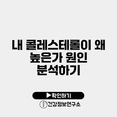 내 콜레스테롤이 왜 높은가? 원인 분석하기