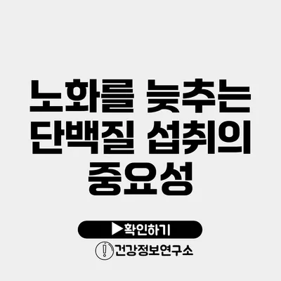 노화를 늦추는 단백질 섭취의 중요성