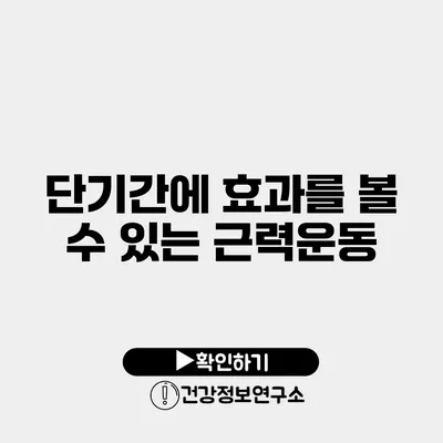 단기간에 효과를 볼 수 있는 근력운동