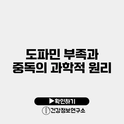 도파민 부족과 중독의 과학적 원리