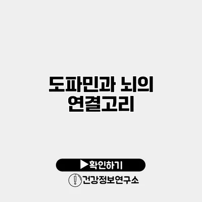 도파민과 뇌의 연결고리