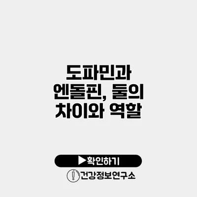 도파민과 엔돌핀, 둘의 차이와 역할