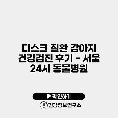 디스크 질환 강아지 건강검진 후기 - 서울 24시 동물병원