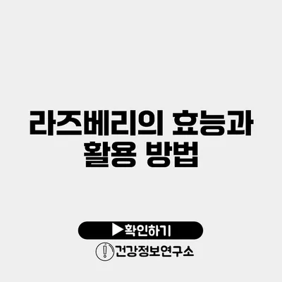 라즈베리의 효능과 활용 방법