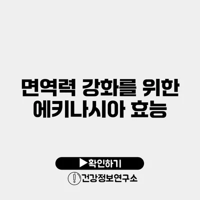 면역력 강화를 위한 에키나시아 효능