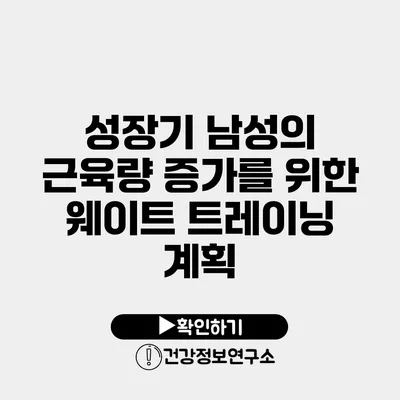성장기 남성의 근육량 증가를 위한 웨이트 트레이닝 계획