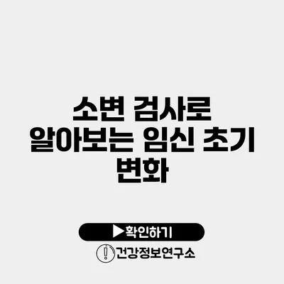 소변 검사로 알아보는 임신 초기 변화