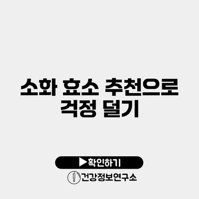 소화 효소 추천으로 걱정 덜기