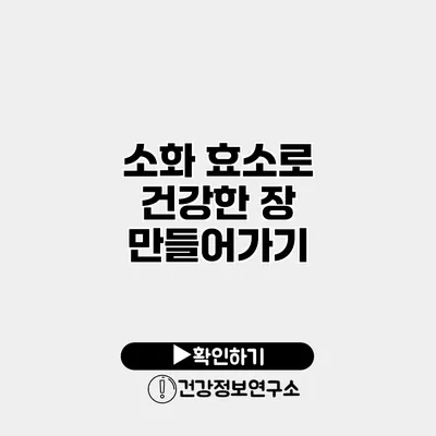 소화 효소로 건강한 장 만들어가기