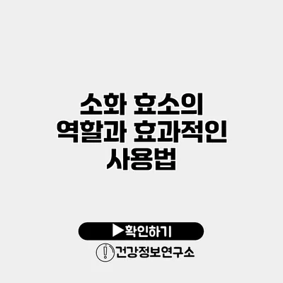 소화 효소의 역할과 효과적인 사용법