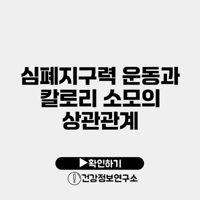 심폐지구력 운동과 칼로리 소모의 상관관계
