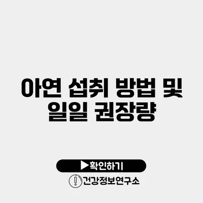 아연 섭취 방법 및 일일 권장량