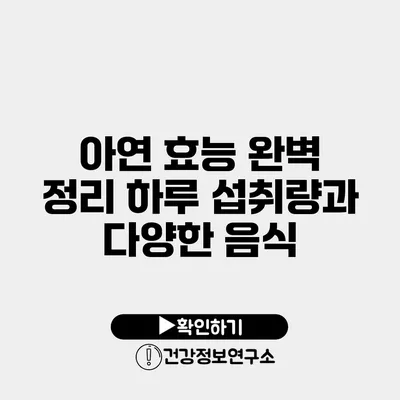아연 효능 완벽 정리 하루 섭취량과 다양한 음식