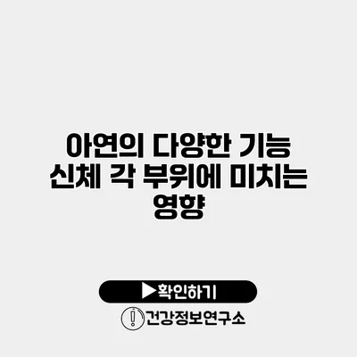 아연의 다양한 기능 신체 각 부위에 미치는 영향