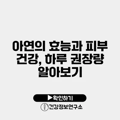 아연의 효능과 피부 건강, 하루 권장량 알아보기