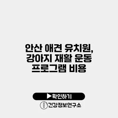 안산 애견 유치원, 강아지 재활 운동 프로그램 비용