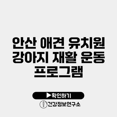안산 애견 유치원 강아지 재활 운동 프로그램
