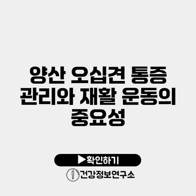 양산 오십견 통증 관리와 재활 운동의 중요성