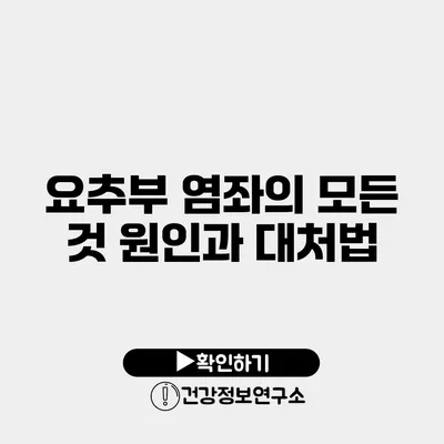 요추부 염좌의 모든 것 원인과 대처법