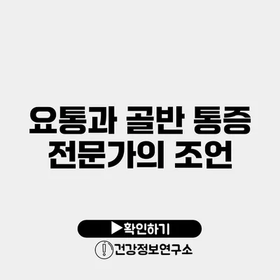 요통과 골반 통증 전문가의 조언