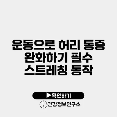 운동으로 허리 통증 완화하기 필수 스트레칭 동작