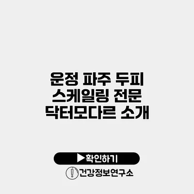 운정 파주 두피 스케일링 전문 닥터모다르 소개