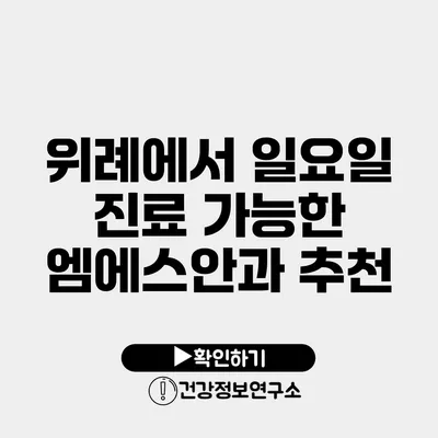 위례에서 일요일 진료 가능한 엠에스안과 추천