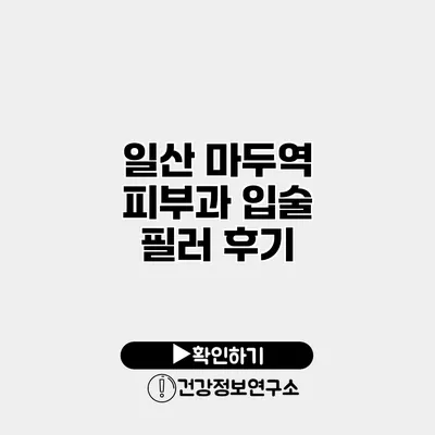 일산 마두역 피부과 입술 필러 후기