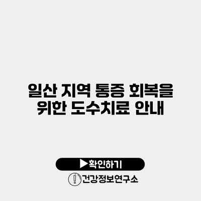 일산 지역 통증 회복을 위한 도수치료 안내