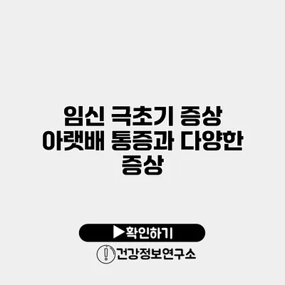 임신 극초기 증상 아랫배 통증과 다양한 증상