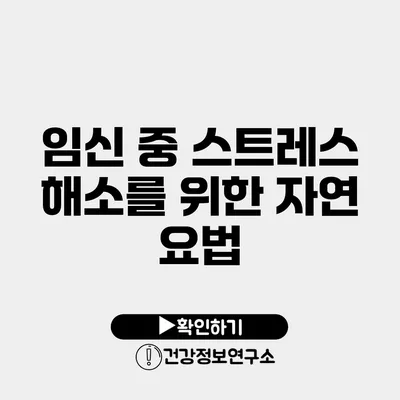 임신 중 스트레스 해소를 위한 자연 요법