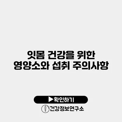 잇몸 건강을 위한 영양소와 섭취 주의사항