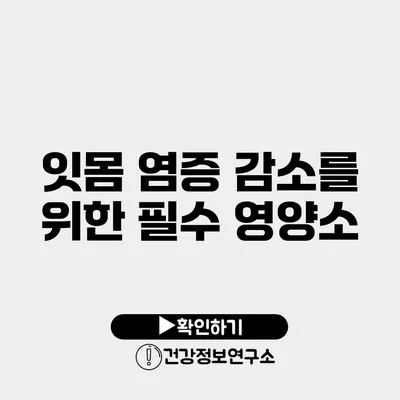 잇몸 염증 감소를 위한 필수 영양소