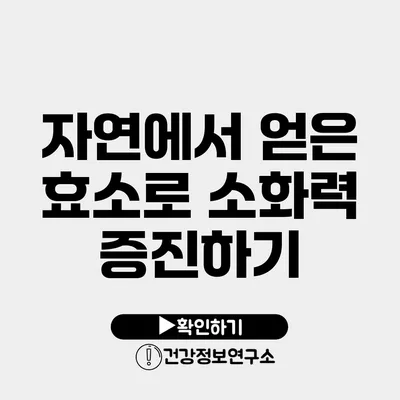 자연에서 얻은 효소로 소화력 증진하기