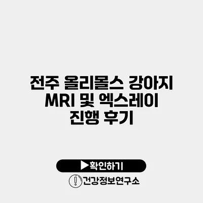 전주 올리몰스 강아지 MRI 및 엑스레이 진행 후기