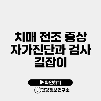 치매 전조 증상 자가진단과 검사 길잡이